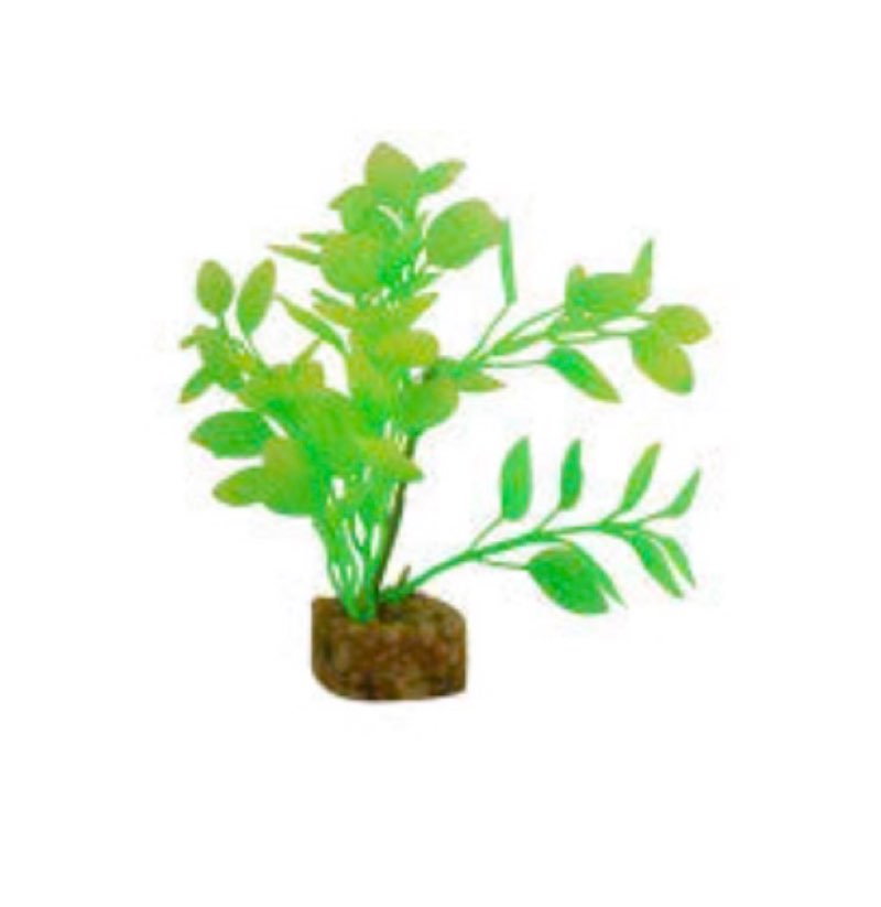 Assortment Of Small Pet Items,Miscellaneous Small, Variety Of Items Multiple Pieces 5 Total