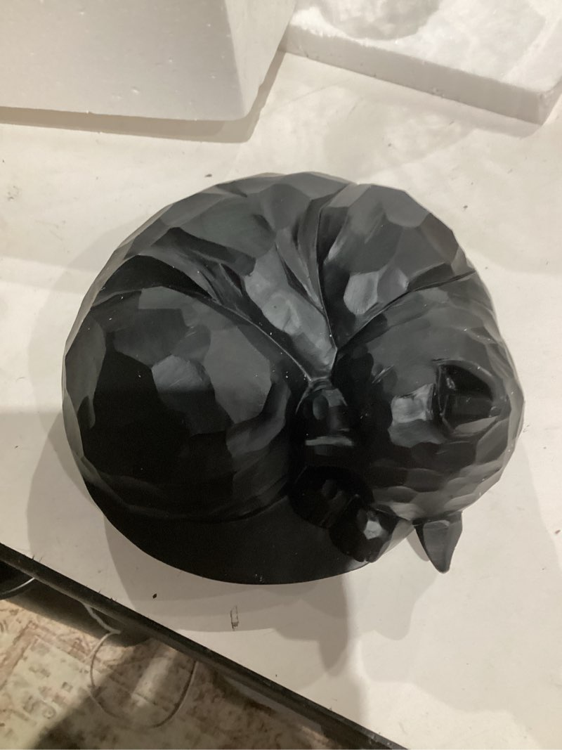 Condition photo showing Good Condition for Cat Urn, Sleeping Pet Urn, Pet urn for Cats Ashes, Cremation Cat Ashes Urn, Funeral urn for Cats, Pet Memorial Keepsake Urns (Black)