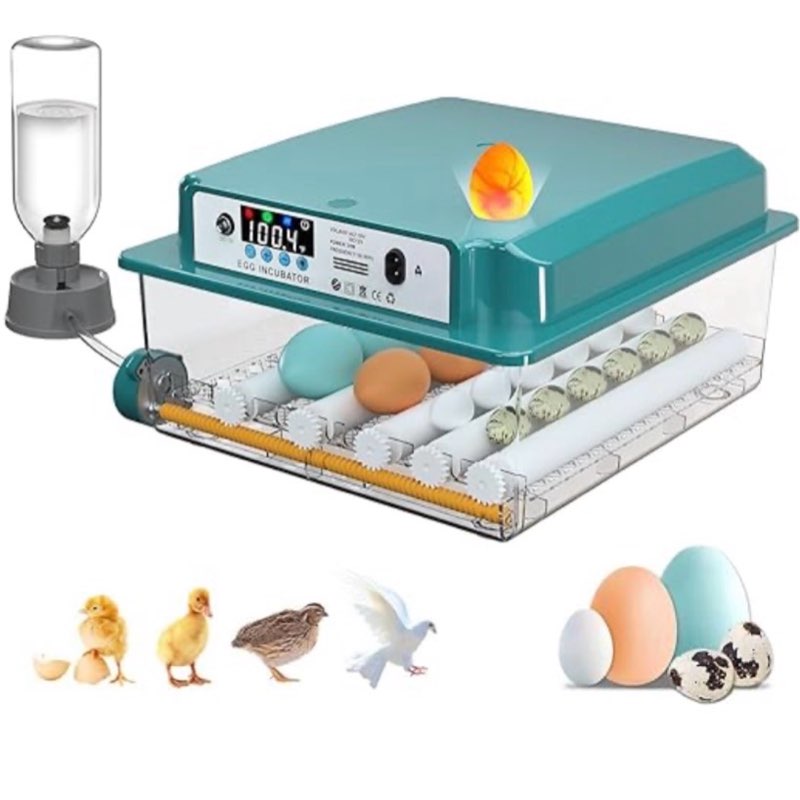Incubators for Hatching 16 Eggs, Egg Incubator with Automatic Egg Turning and Humidity Fill, Temperature Control, Incubator with Adjustable Rollers for Chickens, Ducks, Geese, and Quails
