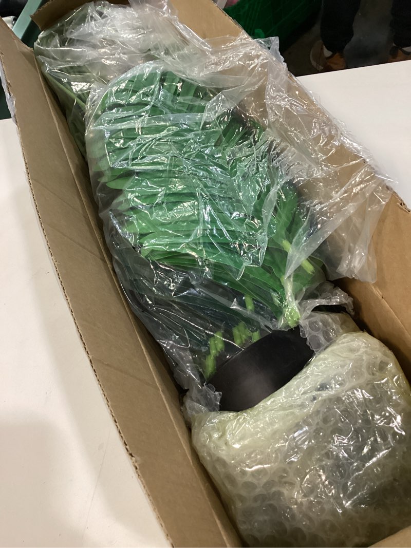 Condition photo showing New/Like New for 4ft 2pcs Large Artificial Plants Fake Palm Tree Tropical Palm Leaves Faux Palm Plants Tall Tree Indoor Real Touch Plastic Monstera Leaves for Home Garden Outdoor Office Decor (4ft/125cm-2pcs)