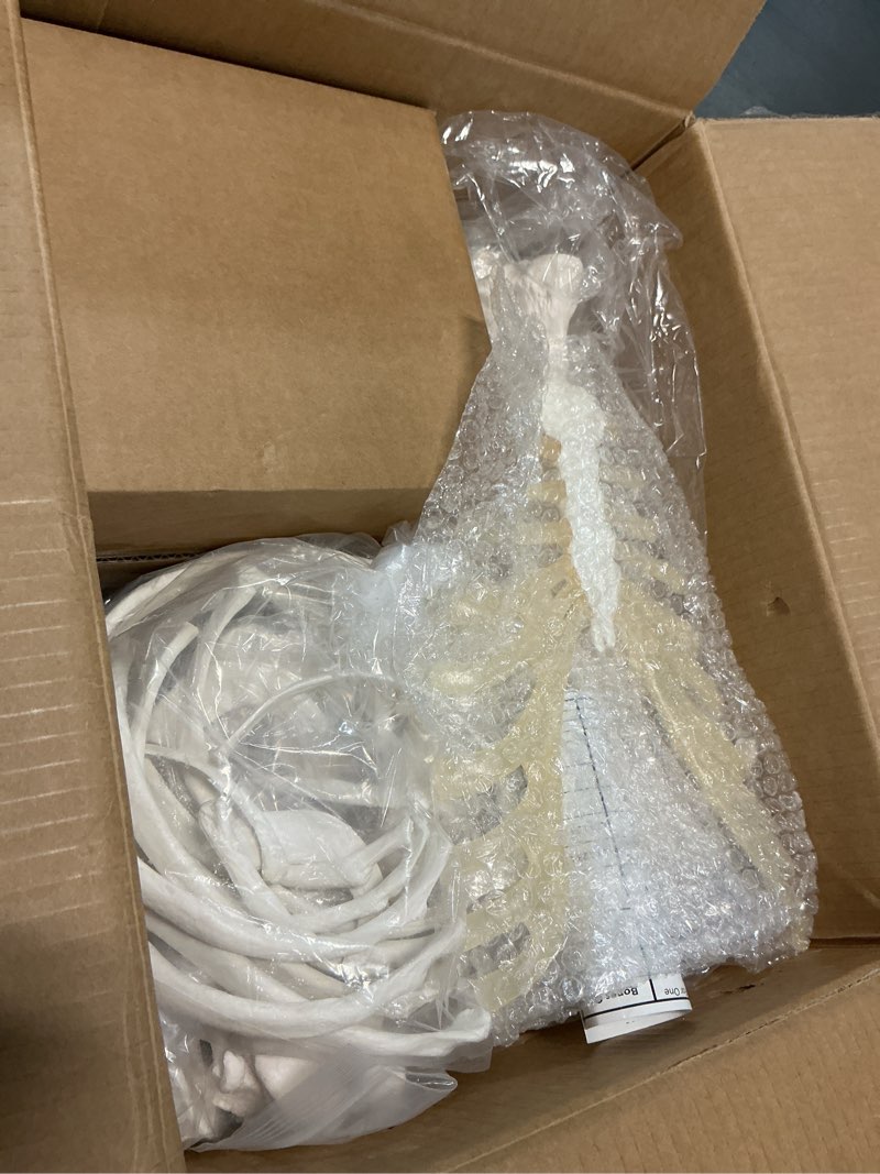 Condition photo showing Good Condition for evotech disarticulated human skeleton model for anatomy 67 inch high, full size skeleton models with skull, spine, bones, articulated hand & foot, for anatomy medical learning