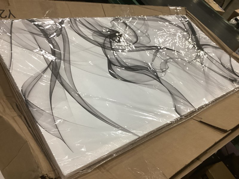 Condition photo showing New/Like New for xxmwallart fc3862 abstract wall art light streak black and white abstract line canvas wall art for living room bedroom bathroom office wall decor 48"l x 24"w abstract line