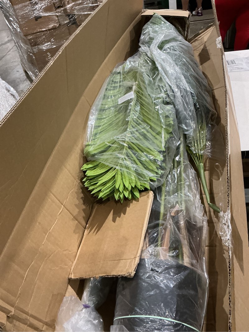 Condition photo showing Good Condition for 61 in. indoor artificial palm tree (2-pack)