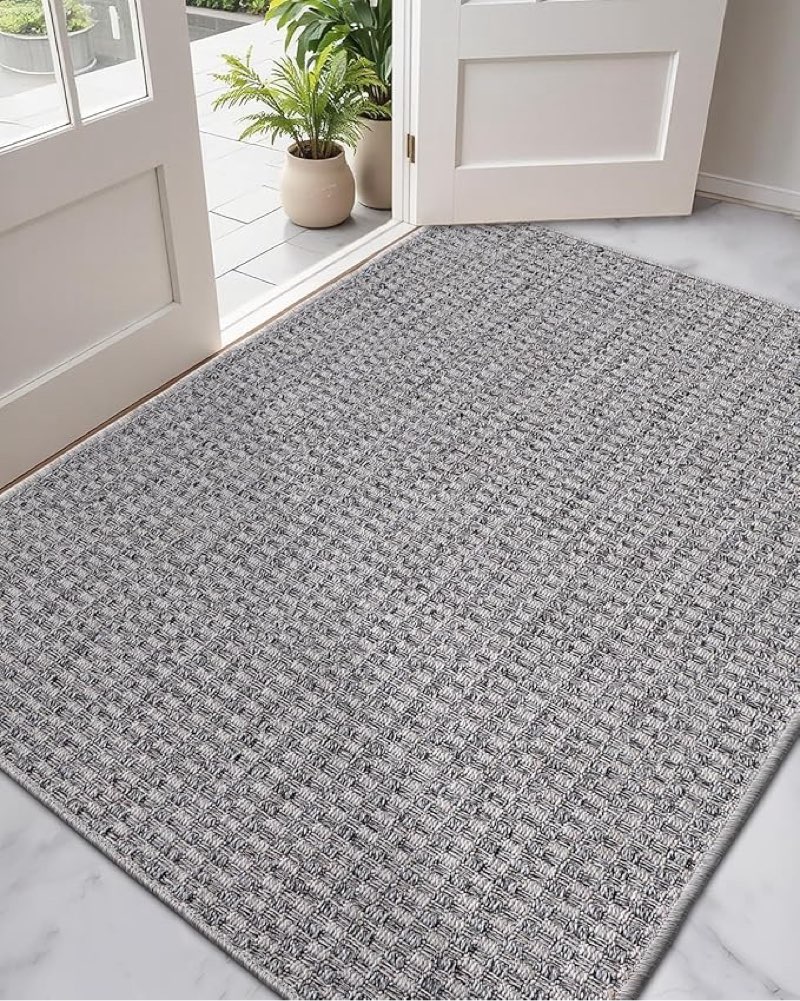 DEXI Dirt Trapper Door Mat, 31x48 Washable Doormat, Dirt Resistant and Absorbent, Easy Clean Low-Pro