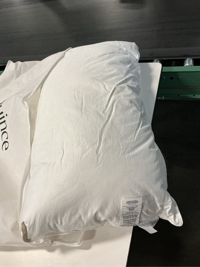 Condition photo showing Good Condition for luxe goose down pillow, king, medium/firm
