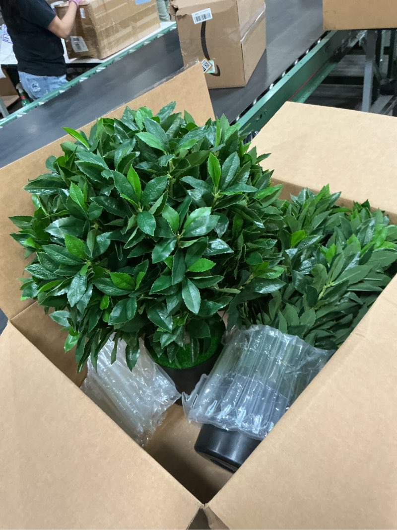Condition photo showing Good Condition for real touch leaves artificial topiary trees, 24" t with 17" w faux boxwood, set of 2 uv resistant plants, decorative indoor outdoor trees with 6"x5" pots for home, office, and garden decor 24" green