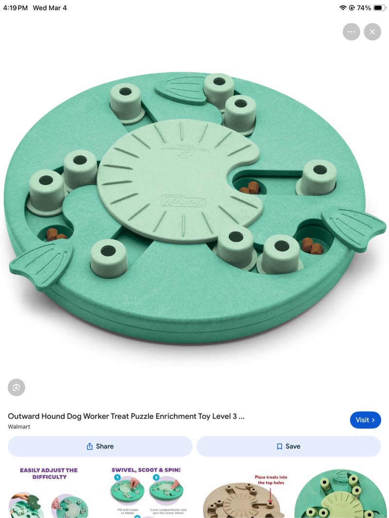 outward hound by nina ottosson dog worker treat puzzle enrichment toy, level 3 advanced, green