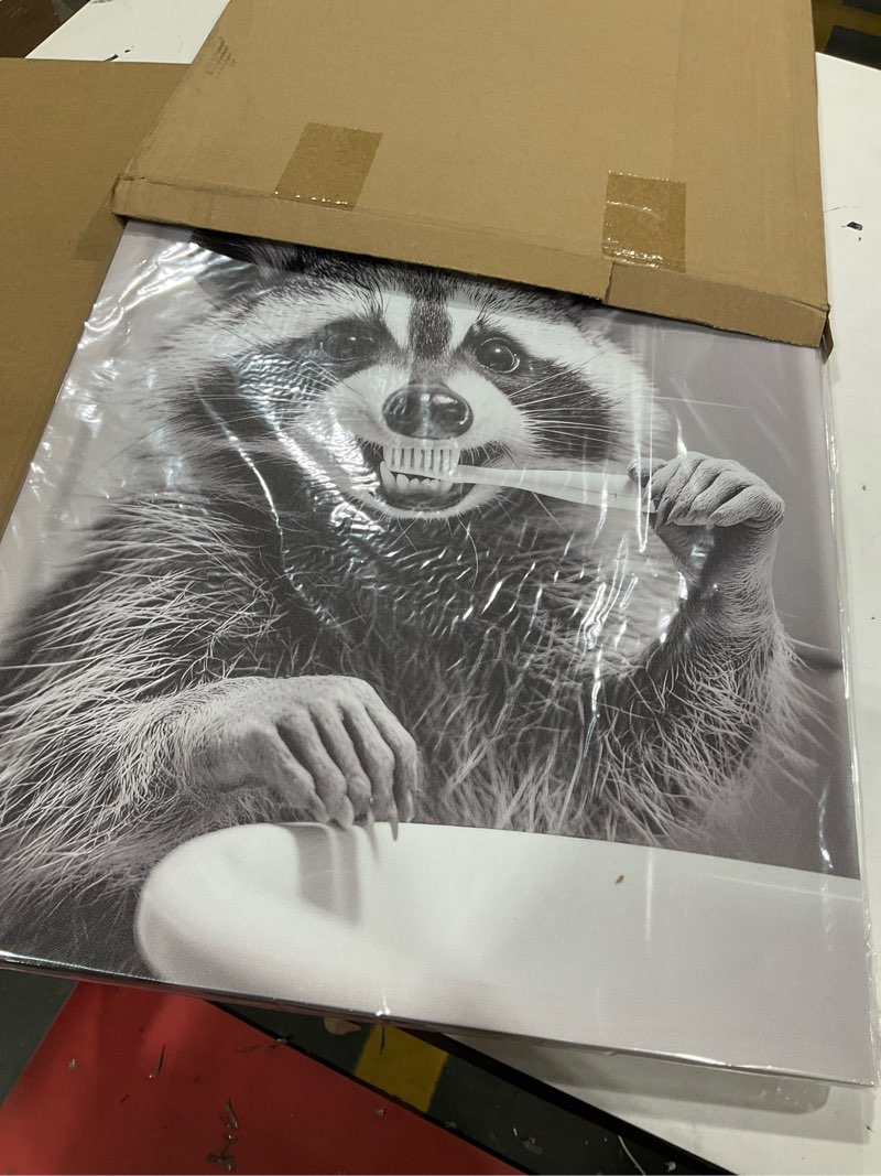 Raccoon wall art