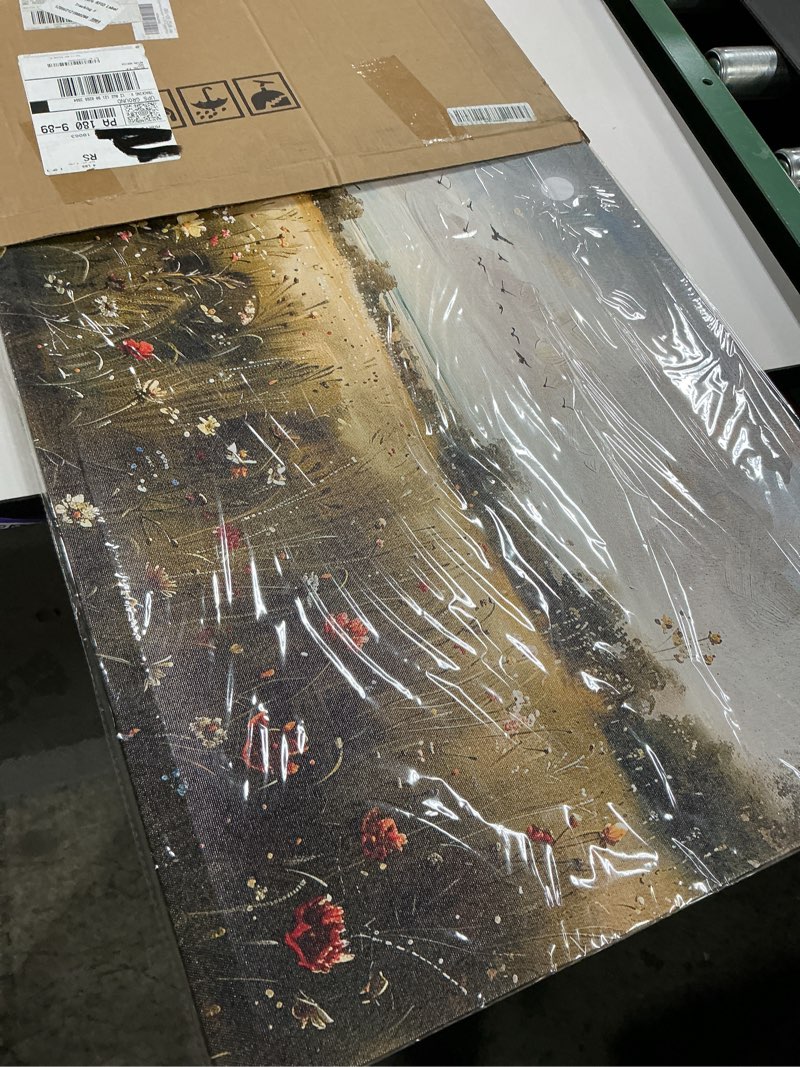 Condition photo showing New/Like New for Wapluam Wall Decor For Living Room Canvas Wall Art For Bedroom Wildflower Field Vintage Wall Art Canvas Prints Paintings Farmhouse Artworks Pictures Modern Bathroom Aesthetic Home Wall Decor 40"X20" 40"L x 20"W Wildflower Meadow