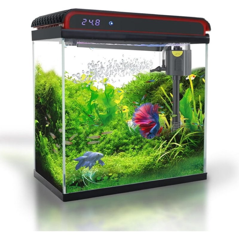 Small Fish Tank 5 Gallon Glass Aquarium Starter Kits, Self-Cleaning Water Pump & 3-Color Light with 