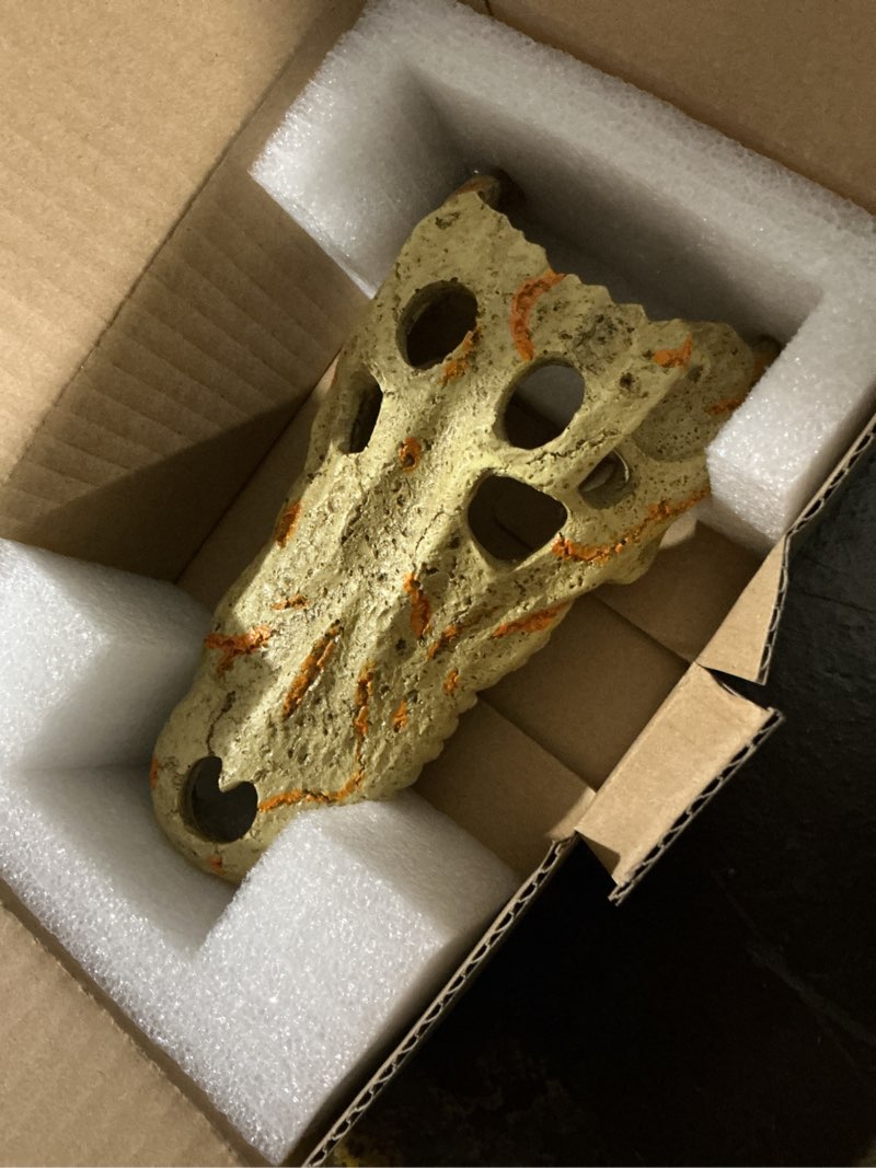 Condition photo showing New/Like New for Zilla Rapid Sense UV Detecting Crocodile Skull Décor for Reptiles  Medium