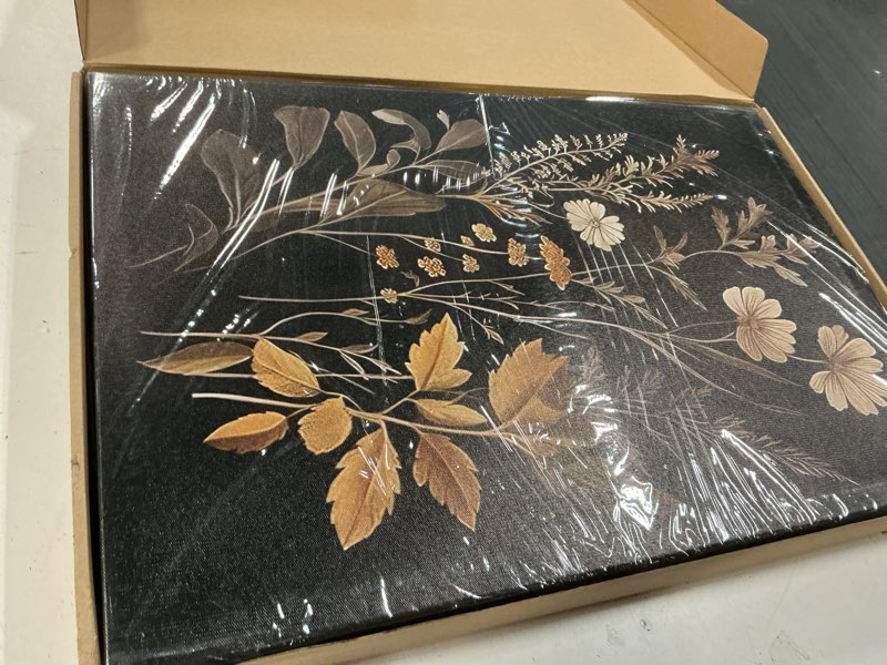 Condition photo showing Good Condition for Yudinbin Vintage Dark Botanical Canvas Wall Art Set of 3 Cottagecore Academia Wildflower Wall Decor Rustic Fall Floral Flower Poster Prints for Bedroom Living Room 24x16 Inch Framed Black Flower B Wrapped Canvas 24"L x 16"W