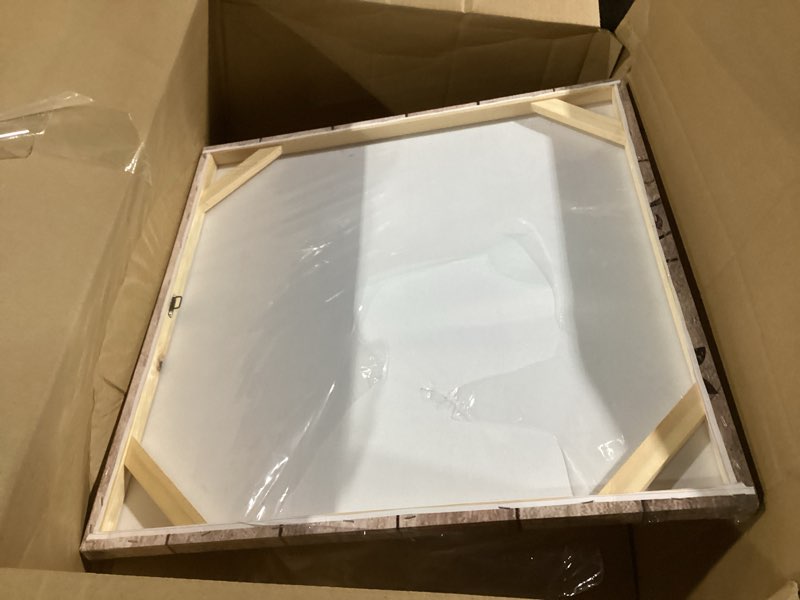 Condition photo showing Good Condition for LevvArts Daisy Flower Wall Art Rustic Farm Floral Painting Artwork for Farmhouse Home Bedroom Bathroom Decor Vintage White Brown Flower Art Poster Kitchen Decor Easy Hanging 24x24