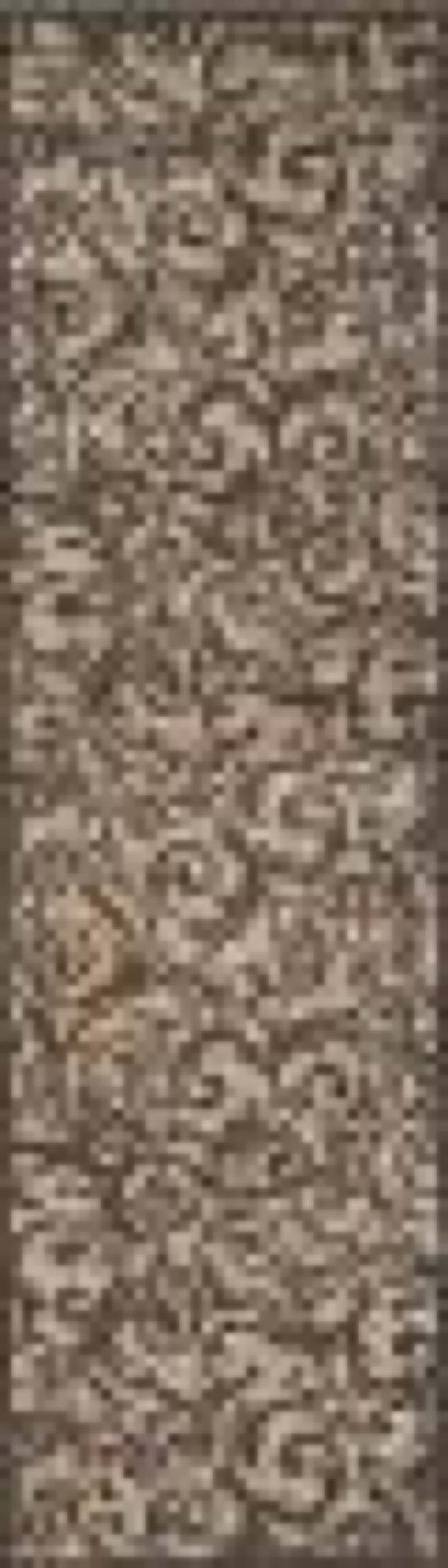 Radici Pisa 1845 Beige Area Rug 7’7 x 2’2