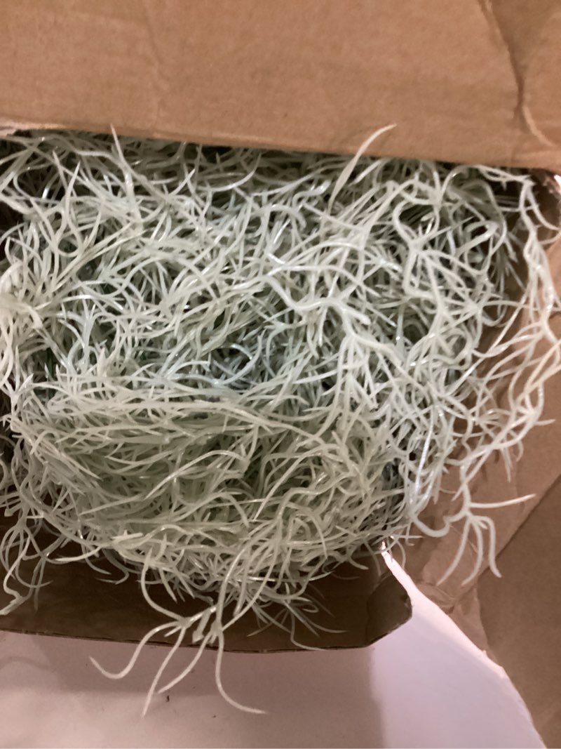 Condition photo showing Good Condition for Cindeer 24 Pack Fake Spanish Moss Artificial Hanging Decoration Bulk Faux Greenery Moss Garland for Potted Wall Living Room Indoor Outdoor Decor(33 Inch,Dark Gray) Dark Gray 33 Inch