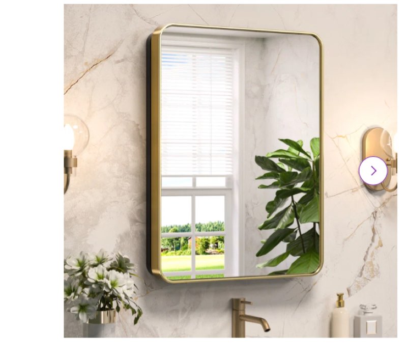 Gervon Rectangle Recessed or Surface Medicine Cabinet with Shelves and Mirror