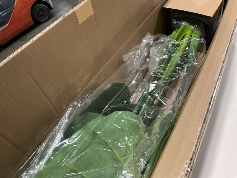 Condition photo showing Good Condition for 43in Artificial Birds of Paradise Plant - 8 Realistic Leaves, Non-Toxic Faux Indoor Plant for Home Office Decor Pet-Safe, Bendable Stems (43in-1pack) 3ft 7in