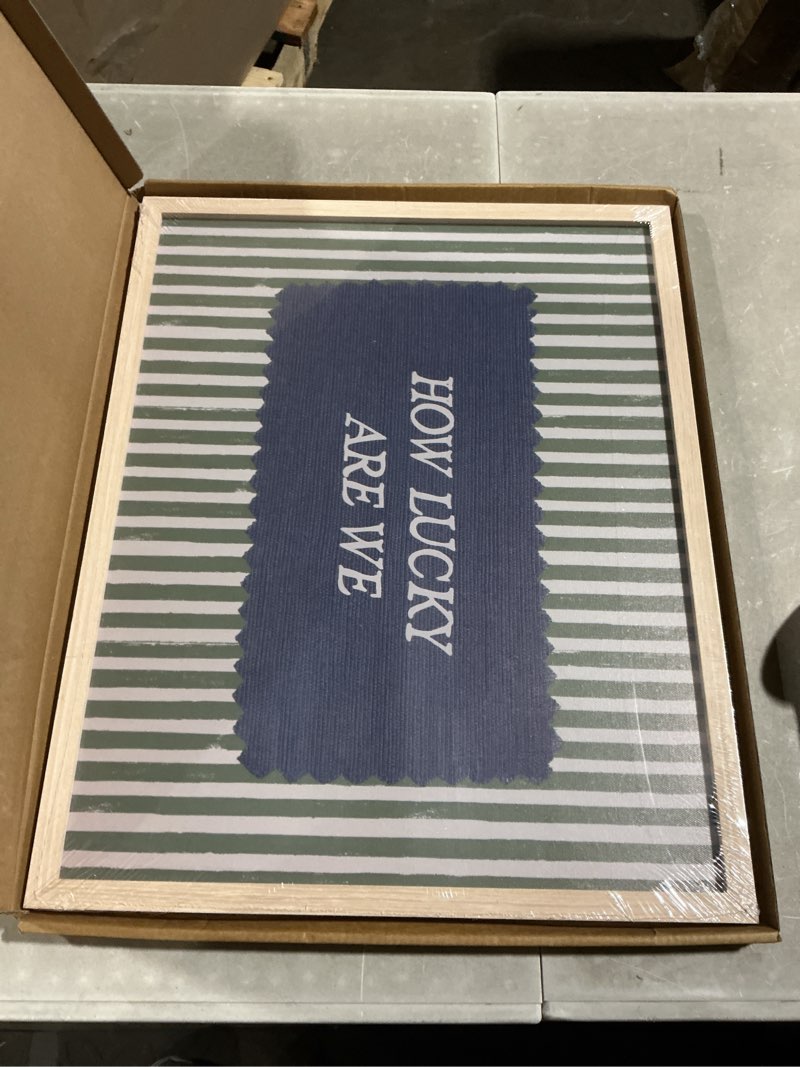 Condition photo showing Good Condition for ayhssmo vintage framed wall art these are the good old days print motivational home decor farm house paintings trendy retro green gingham paintings prints for living room bedroom 16x20in green grid framed 20"l x 16"w