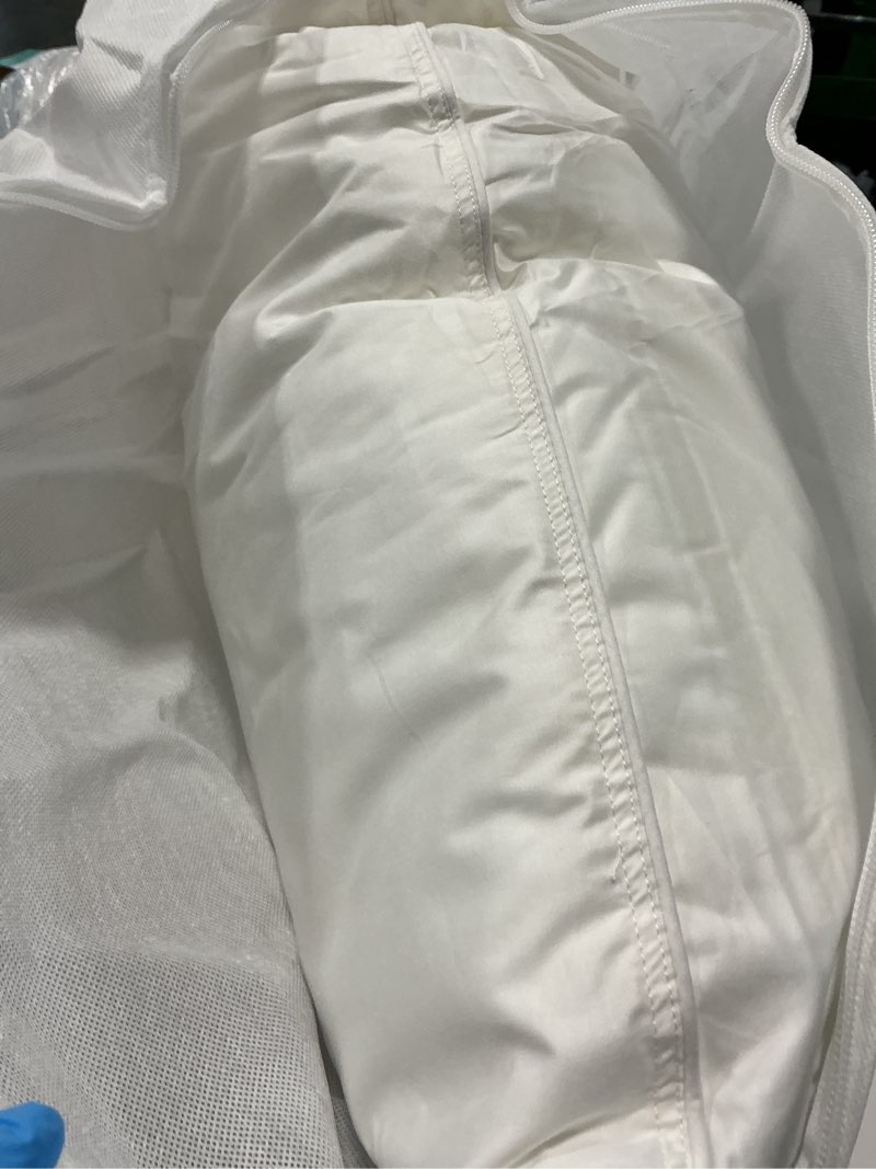 Condition photo showing Good Condition for premium down alternative pillow, standard, medium/firm