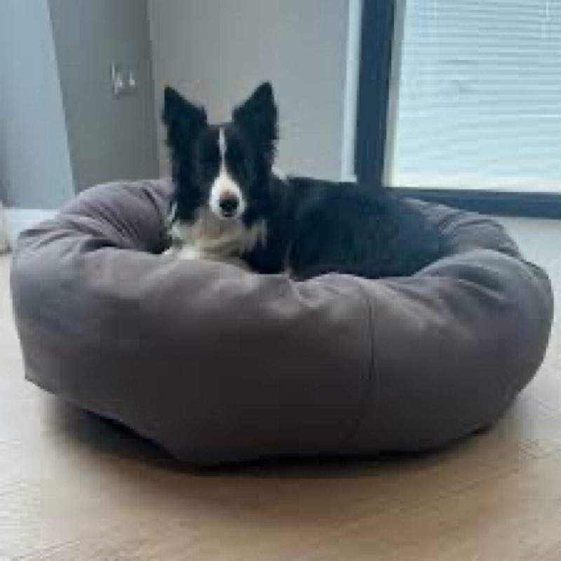 Grey Doggy Donut, Dog Bed, Cat Bed, Nice And Comfy small 