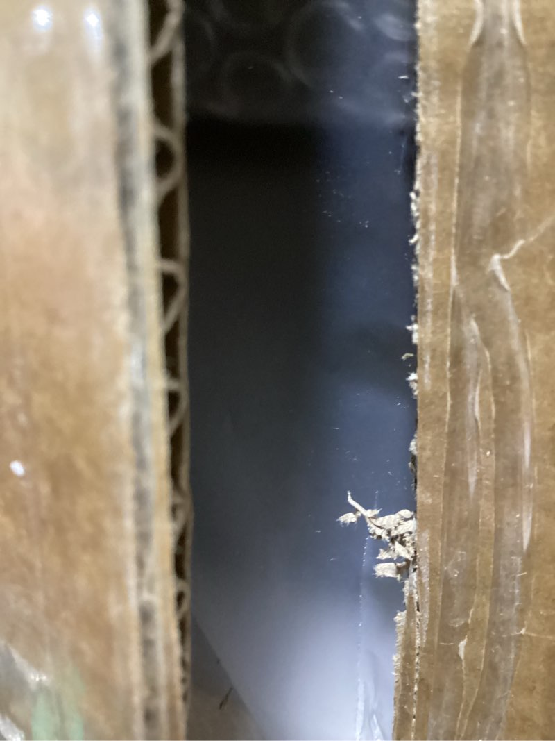 WINNICE Full Length Mirror with Lights, 56" x 16" LED Lighted Floor Standing Mirror, Tempered Glass,