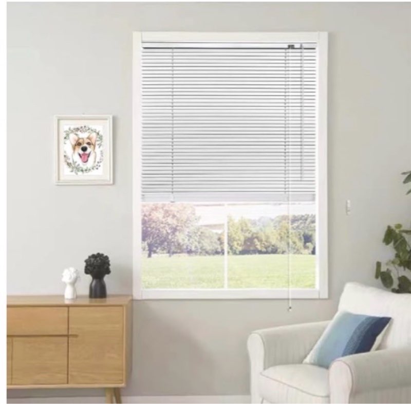 YIIBAII Mini Blinds for 27.5" W x 64" H Windows 1" Aluminum Horizontal Venetian Blinds Darkening with Rope and Pole can Mounted Inside or Outside
