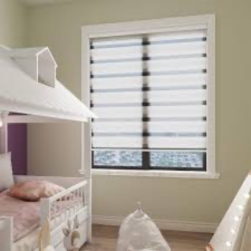 Changshade Cordless Zebra Blinds for Windows,Free-Stop Zebra Roller Shade Dual Layer Light Filtering 36.5” x 72”