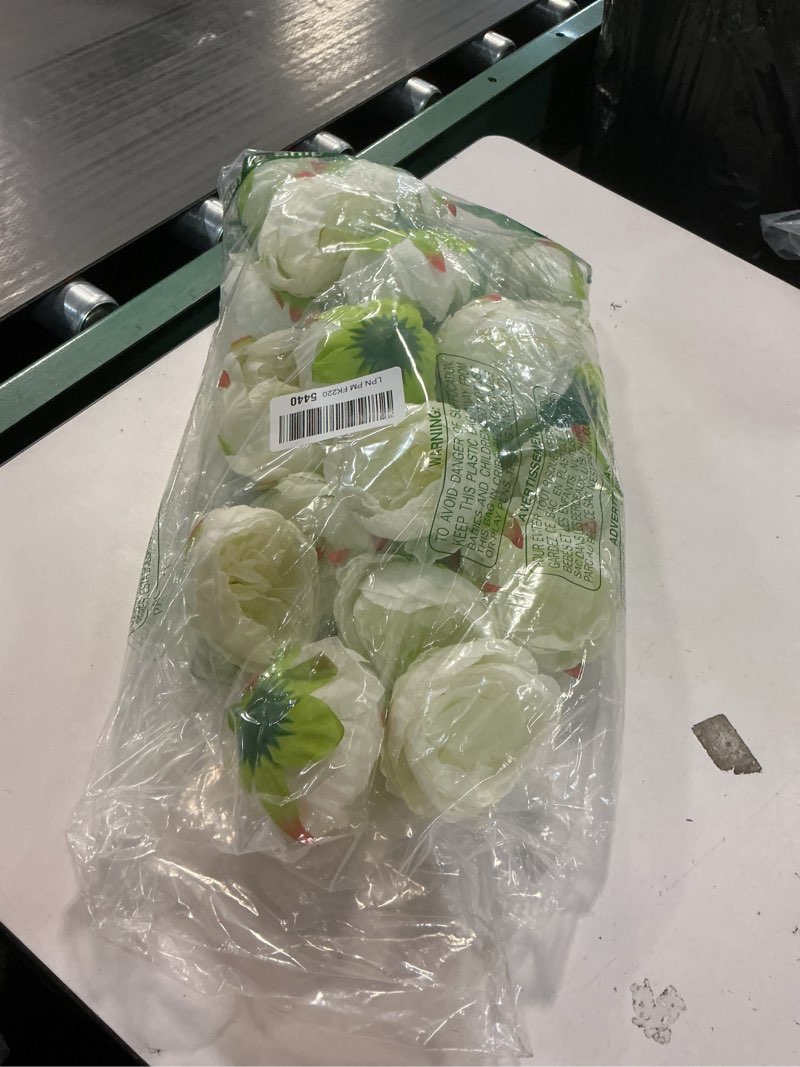 Condition photo showing Good Condition for FagusHome 25 Pcs Silk Peony Artificial Flower Heads 4 inch Fake Peony Flowers Heads with Stems Artificial Peony Flower Heads in Bulk Wholesale for Wedding Home Decor (Off White)