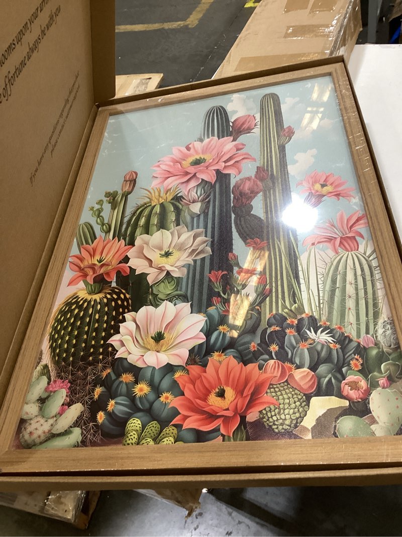 Condition photo showing Good Condition for framed mexican cactus canvas wall art set of 2, vintage desert floral wall decor paintings, southwestern boho botanical pictures prints aesthetic home decor for living room bedroom bathroom 16x24 inch colorful framed 24l" x 16w"