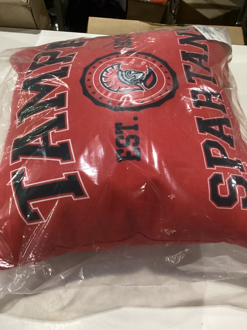 Condition photo showing New/Like New for tampa spartans | official ncaa university merch | nafpuot02 throw pillow