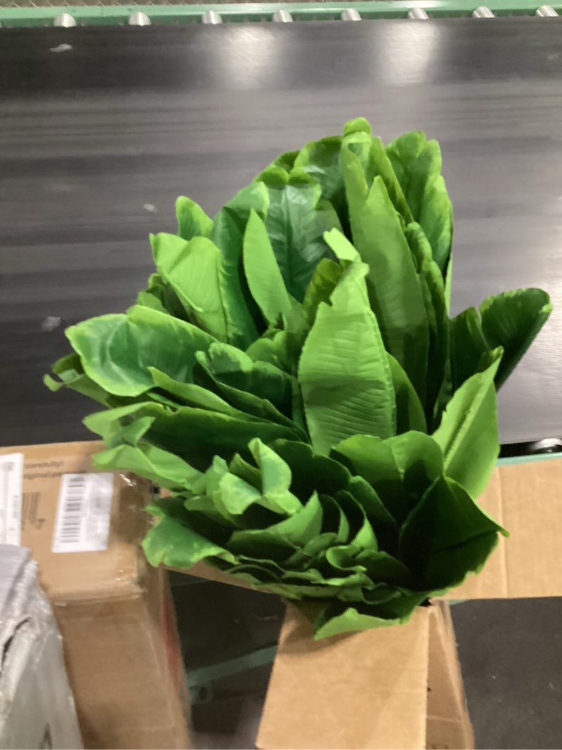 faux plant