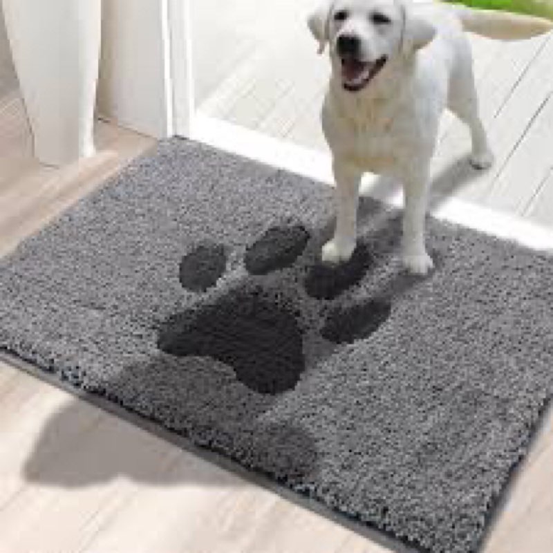 Oiilores Door Mat Indoor, Dog Mats for Muddy Paws Super Absorbent, Low-Profile Entryway Rug with Non