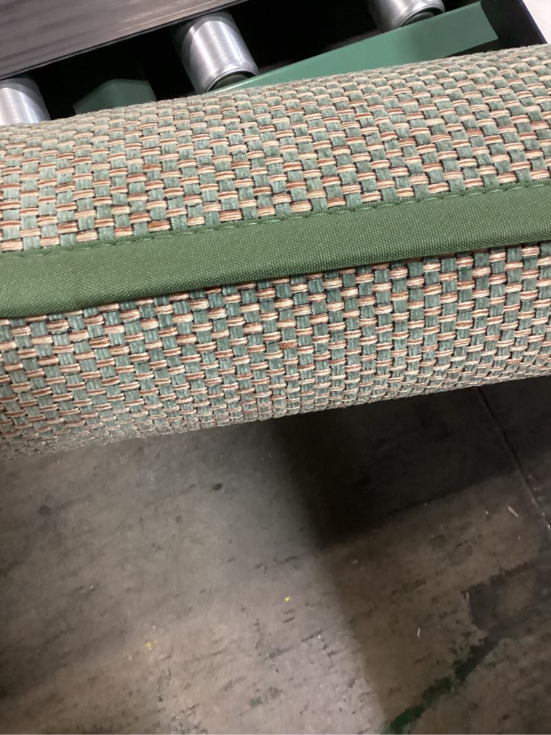 Condition photo showing New/Like New for DEXI Ultra Thin Entryway Door Mat 36x56, Non Slip Rubber Backing Inside Entry Mat, Low Profile Easy Clean Dirt Trapper Doormat for Inside Entrance Patio, Green 3' x 4'8" (Rectangular) Green