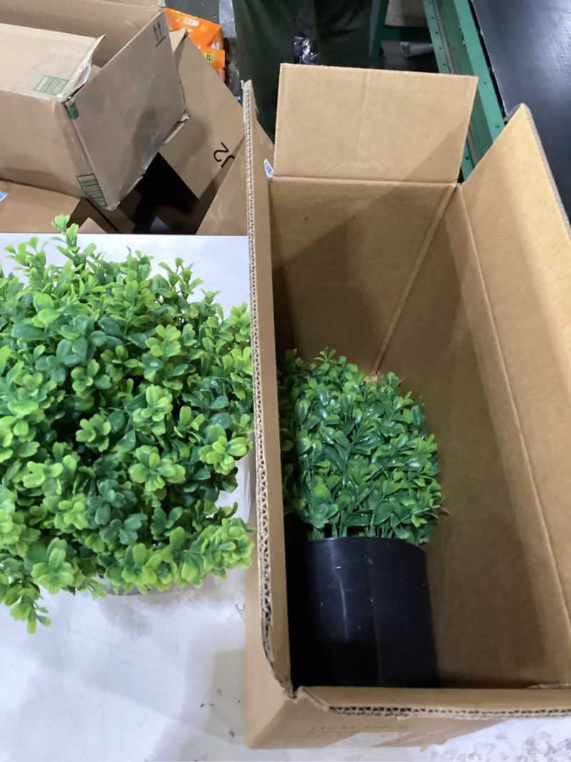 Condition photo showing New/Like New for Set of 2 Artificial Boxwood Topiary Trees for Front Door - Faux Realistic Greenery Potted Plants, Fake Outdoor UV-Resistant Bushes with Pots for Porch,Farmhouse,Home,Garden Decor
