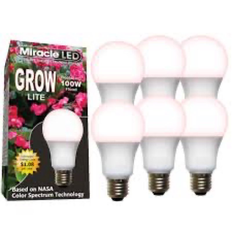 Last Chance Deals @ Broadwell!