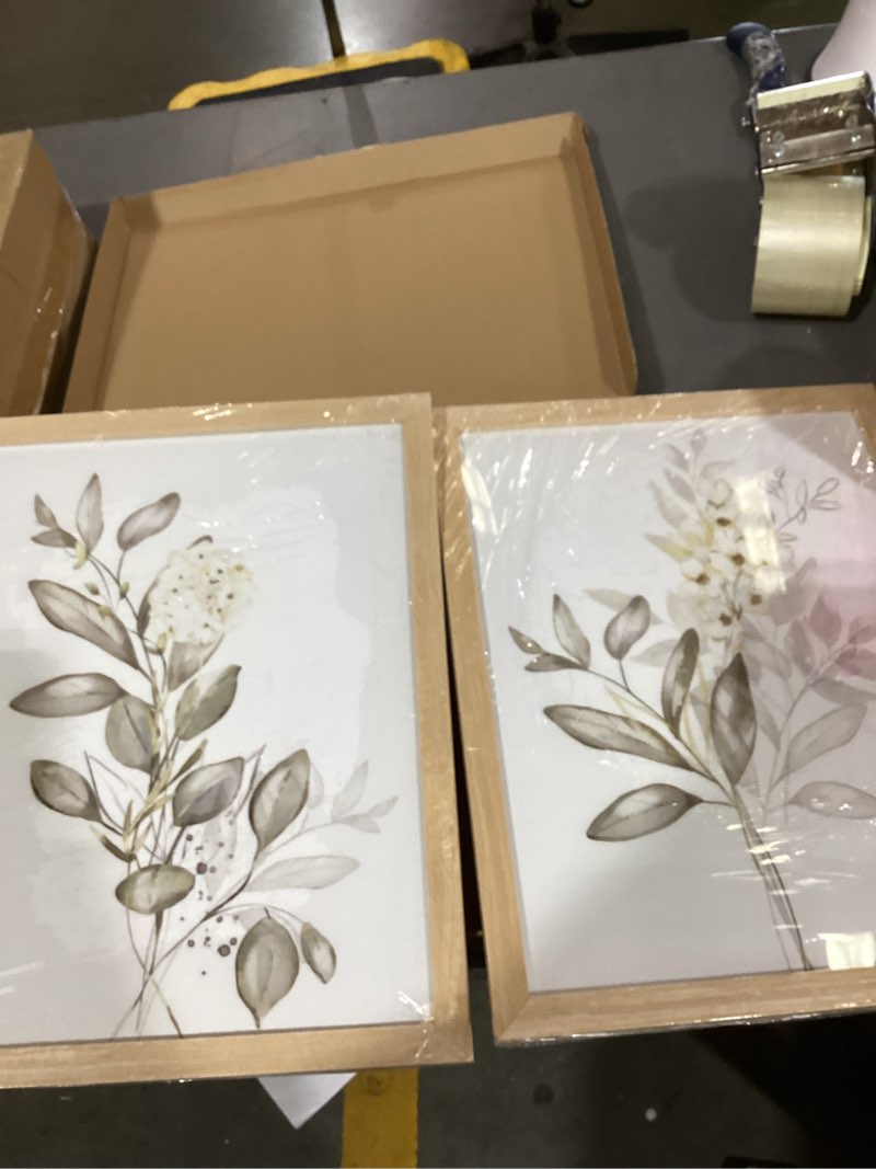 Condition photo showing New/Like New for framed nature botanical wall art set of 2, white floral with green eucalyptus leaves canvas prints, modern minimalist flower painting picture for kitchen, bedroom, dining room,bathroom decor, 8x10in white floral framed 10"l x 8"w