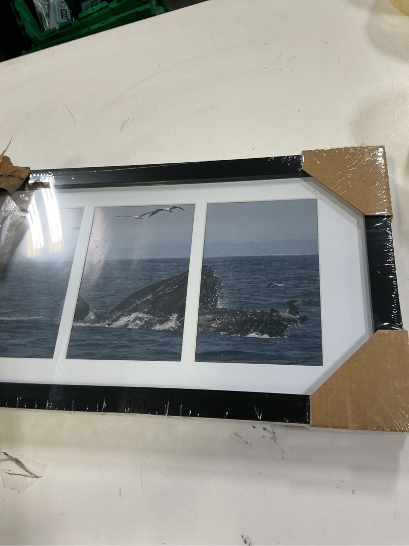 Condition photo showing Good Condition for Americanflat 4x6 Double Picture Frame with Shatter-Resistant Glass - Fits Two 4x6 Photos or use as One 6x14 Frame - Signature Collection - Collage Frames for Tabletop and Wall Display - Black Black 6x14
