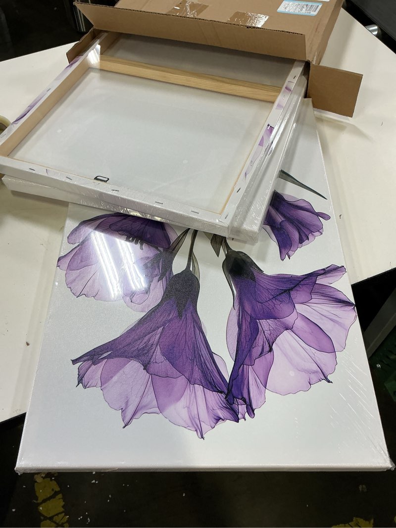 Condition photo showing Good Condition for kreative arts chic tropical home decor - 3 piece set, 16x24'' each, purple x-ray flowers giclee print, modern photographic floral canvas wall art, ready to hang for bathroom, bedroom