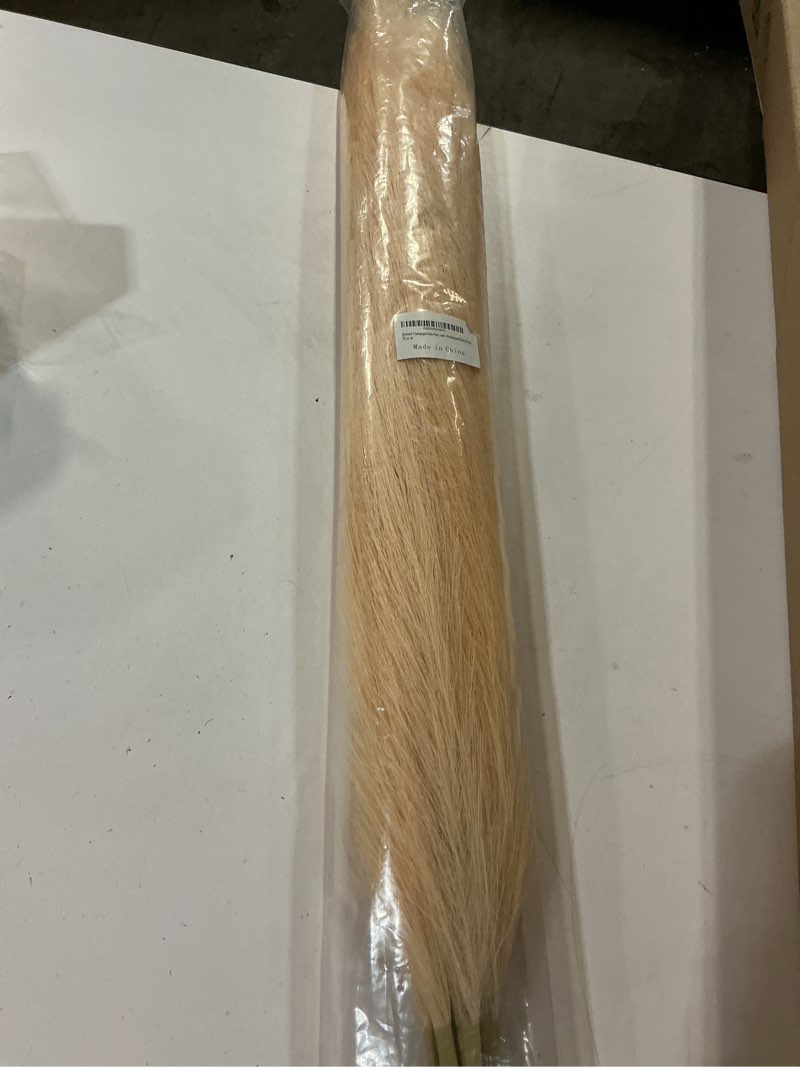Condition photo showing Good Condition for Wertuirk Champagne Faux Pampas Grass - 45-Inch Set of 8 | Boho Home Decor | Tall Artificial Pompas Floral Soft and Fluffy | Perfect for Wedding Centerpieces, Farmhouse and Baby Shower Decorations