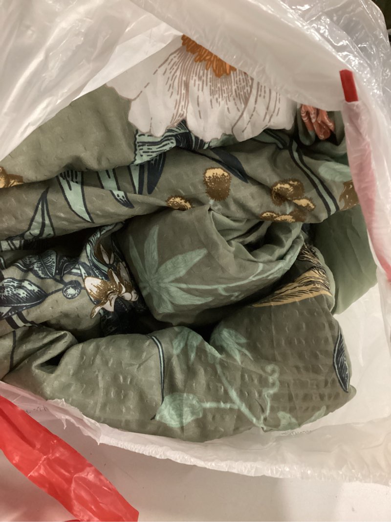 Condition photo showing As Is for CASAAGUSTO Twin Comforter Set - 5 Pieces Green Floral Bedding Sets, Twin Bed in a Bag with Botanical Butterfly Comforter, Sheets, Pillowcases & Shams for All Seasons 01-green Butterfly&floral Twin(66”X90“)