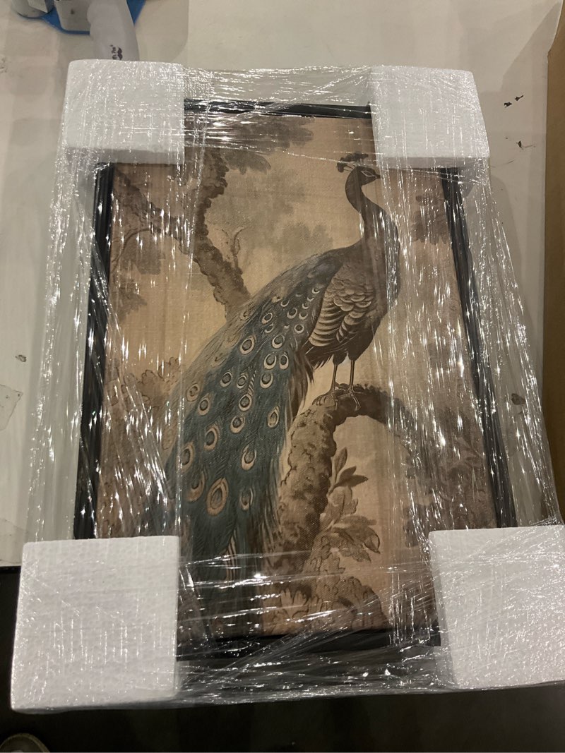 art remedy french decor peacock canvas retro japanese art prints black frame 10 x 15