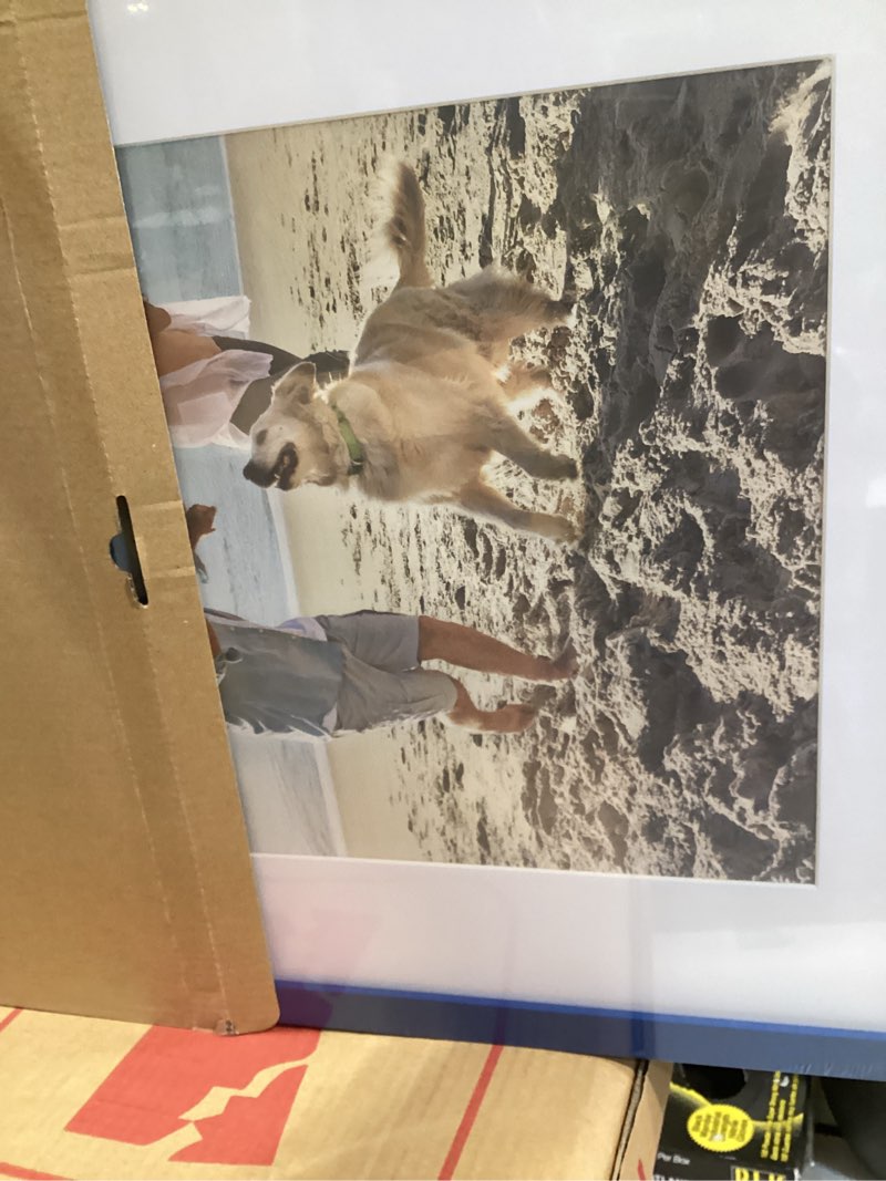 decoruhome 16x20 picture frame, display pictures 11x14 with mat or 16x20 without mat, wall hanging poster frame, royal blue, 1 pack royal blue 16x20