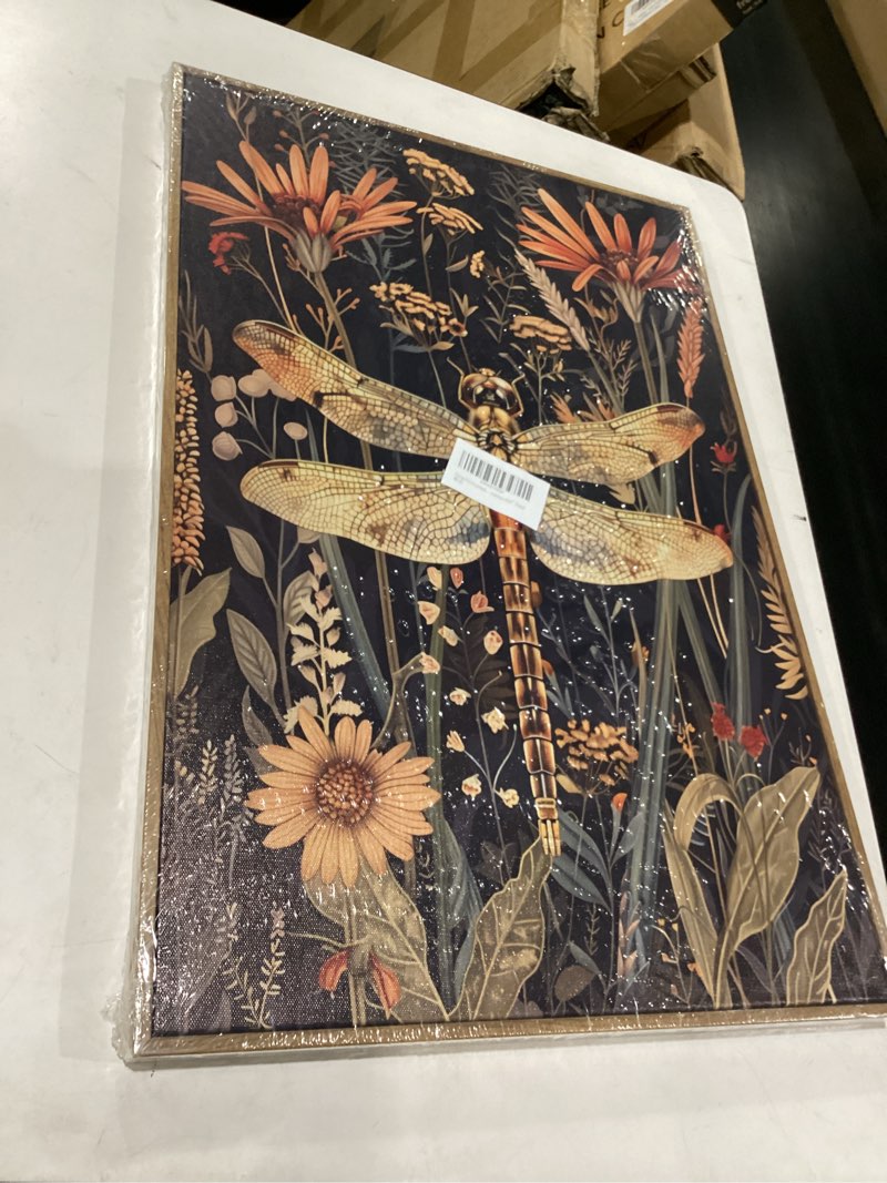 Condition photo showing New/Like New for framed vintage dragonfly wall art decor, dark academia floral dragonfly canvas wall art, moody cottage core botanical flower nature insect canvas prints artwork for bedroom living room home 16x24'' dark dragonfly and floral 24"l x 16"w