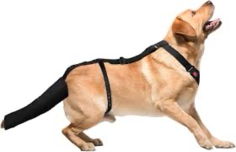 Ohcozzy Dog Tail Protector with Soft Diving Cloth, Breathable Protective Sleeve for Medium Large Dog