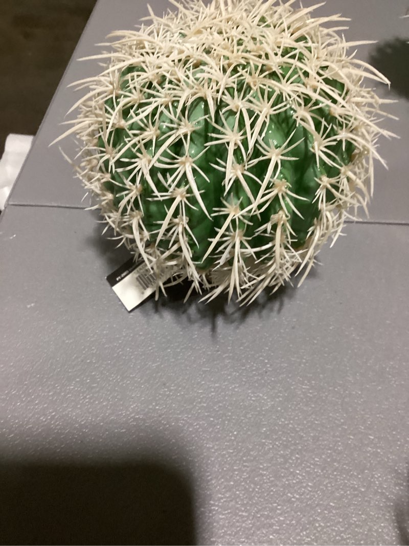 Condition photo showing New/Like New for Exo-Terra Desert Barrel Cactus Terrarium Plant