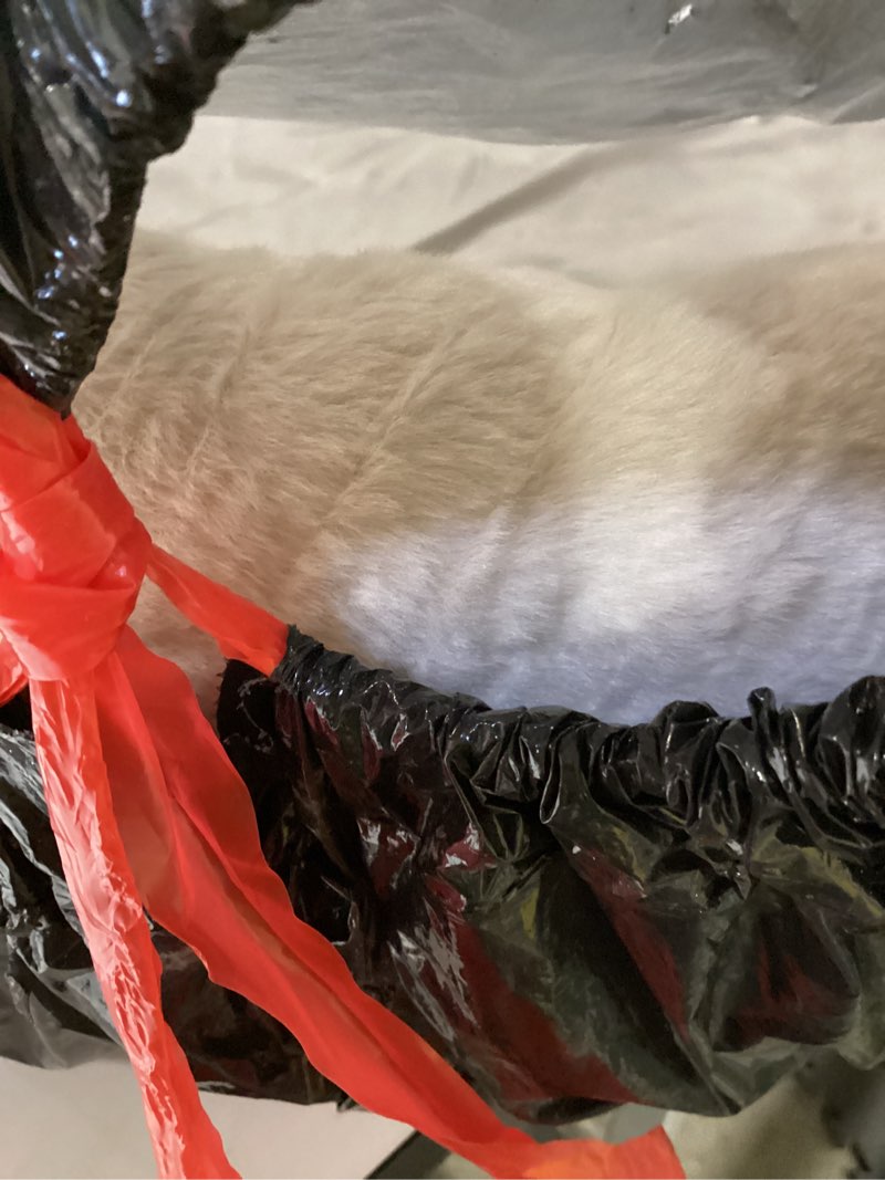 Condition photo showing Good Condition for Cat Heating Bed Indoor - Adiustable Temperature Pet Heating Pad with Timer and Chew Resistant Cord, Washable Puppy Bed with Non-Slip Bottom, 21" x 21" x 8", Khaki 21 x 21 x 8 in Khaki