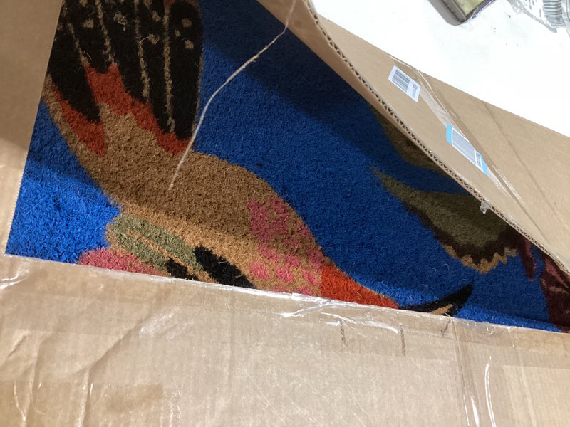 Condition photo showing Good Condition for calloway mills 120262436 hummingbird delight doormat 24" x 36" 2' x 3' (rectangular)