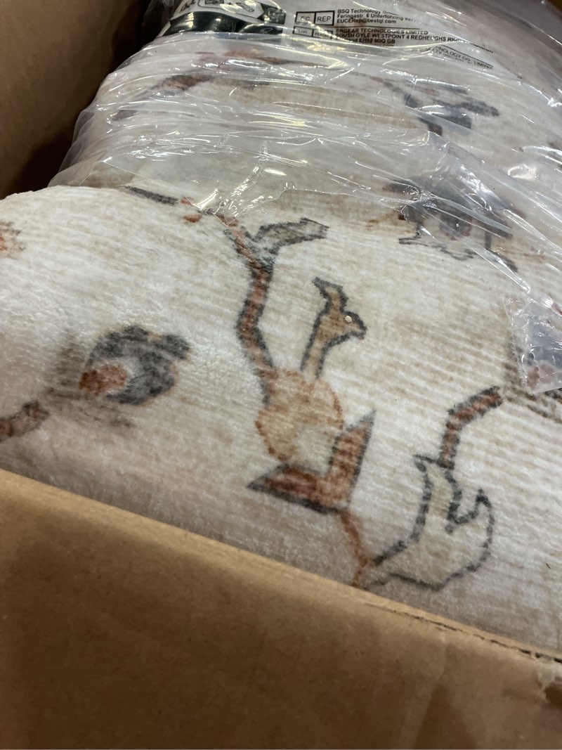 Condition photo showing Good Condition for Amada 8x10 Area Rugs, Low-Profile Large Washable Area Rug with Non-Slip Backing & Durable Edge Binding, Vintage Rugs for Living Room, Bedroom, Dinning Room 8' x 10' (Rectangular) Beige