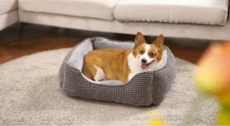 MIXJOY Dog Bed Large Size, Washable Large Dog Beds with Removable Cover, Rectangle Pet Beds for Big 