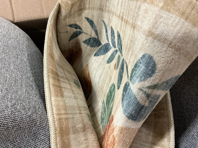 Condition photo showing Good Condition for 6x9 area rugs washable rug: lagre boho living room rug soft non-slip thin carpet indoor floor non-shedding neutral floral carpets for bedroom dining room farmhouse nursery beige 6' x 9' (rectangular) beige